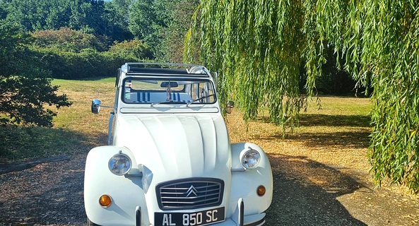 location-CITROEN-Montastruc-la-Conseillère-roadstr