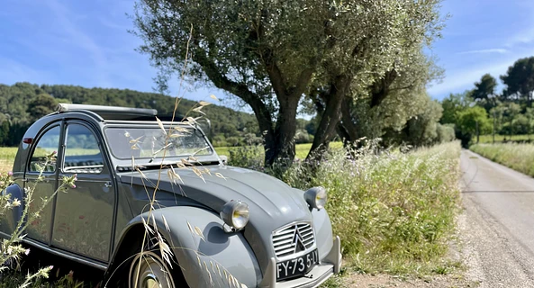 location-CITROEN-Six-Fours-les-Plages-roadstr