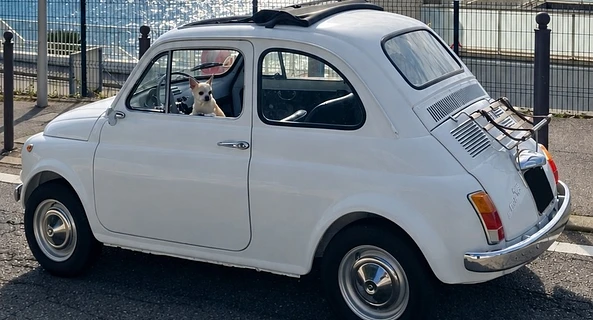 location-FIAT-La Ciotat-roadstr