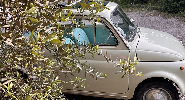 location-FIAT-Saint-Raphaël-roadstr