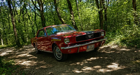 location-FORD-Bordeaux-roadstr