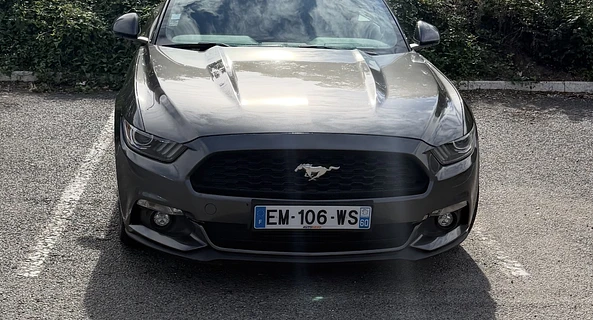 location-FORD-Nogent-sur-Marne-roadstr