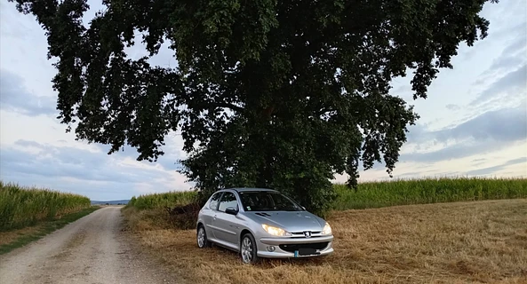 location-PEUGEOT-Hirsingue-roadstr