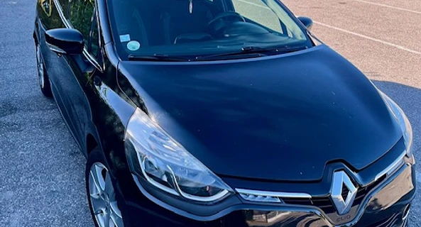 location-RENAULT-Saint-Genix-les-Villages-roadstr