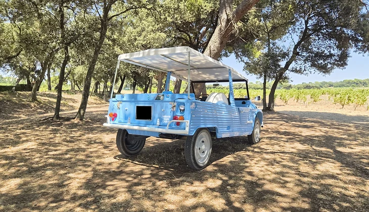 location-CITROEN-Sorgues-roadstr