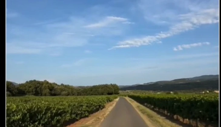 location-CITROEN-Carpentras-roadstr