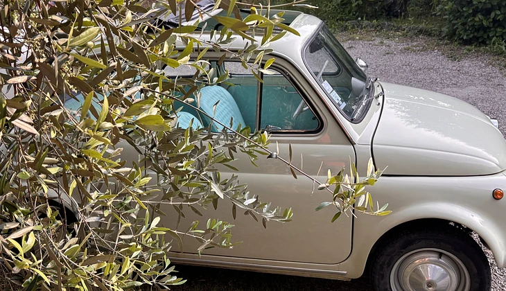 location-FIAT-Saint-Raphaël-roadstr