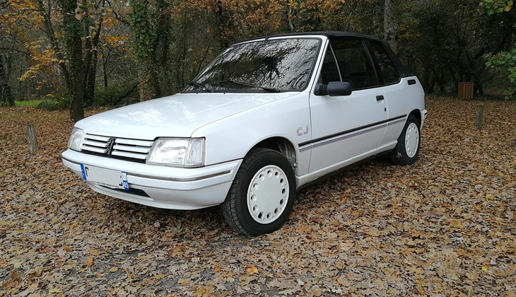location-PEUGEOT-Saint-Sébastien-sur-Loire-roadstr
